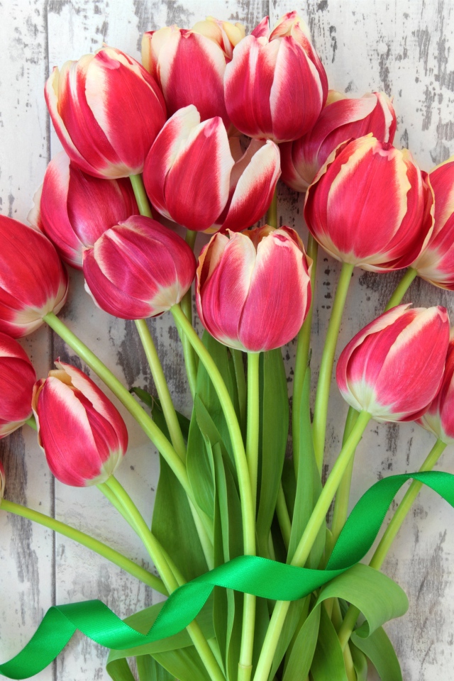 Букет розовых тюльпанов с зеленой лентой 