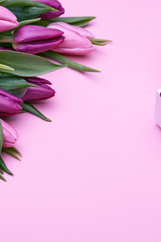 Букет фиолетовых тюльпанов с подарками на розовом фоне