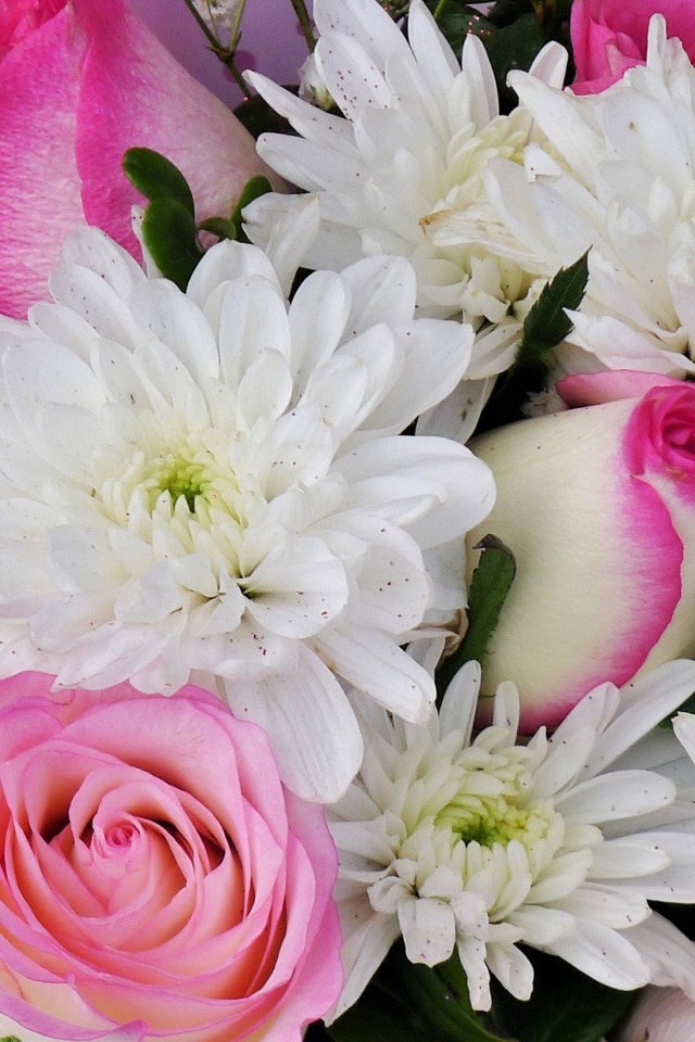 Букет белых хризантем с розовыми розами