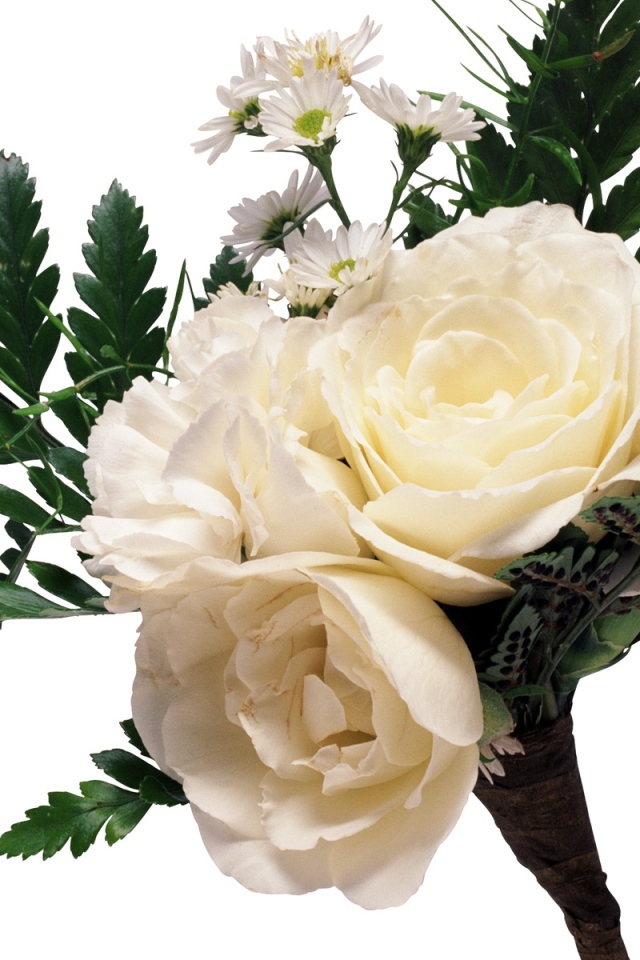 Букет из белых роз с ромашками и большими зелеными листьями на белом фоне