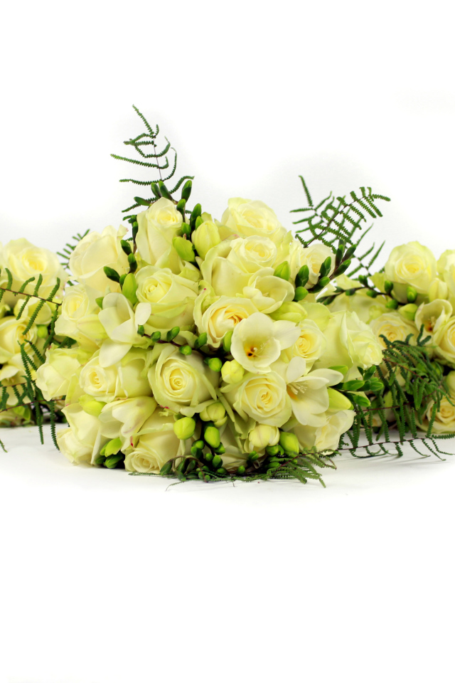 Букеты белых роз и фрезии на белом фоне