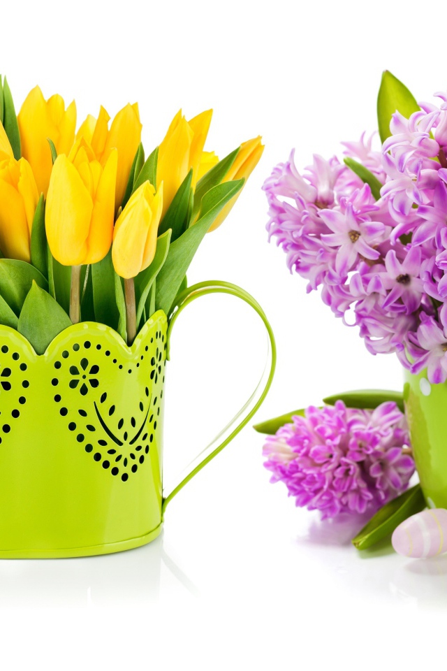 Композиция с желтыми тюльпанами и сиреневыми гиацинтами на белом фоне