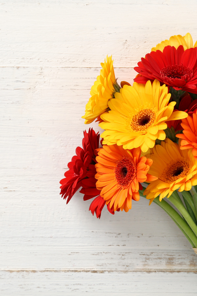 Милый букет гербер на деревянной поверхности, шаблон для открытки