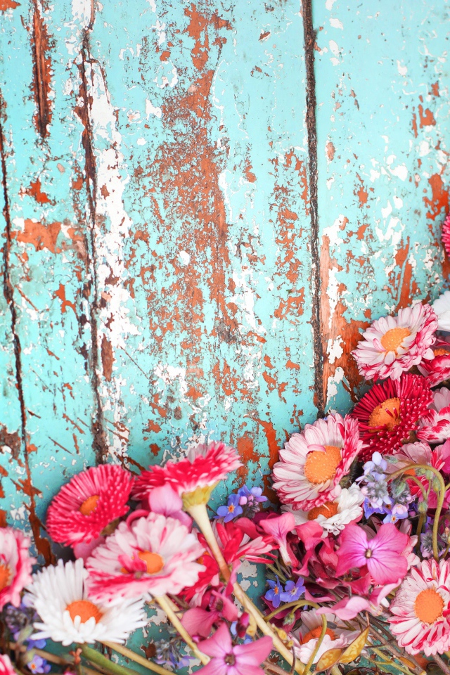 Маргаритки и флоксы на старой деревянной поверхности