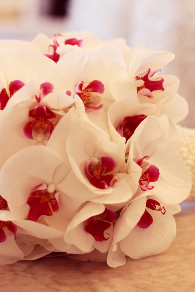 Нежный букет белой орхидеи