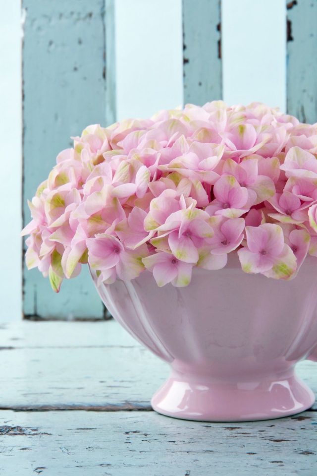 Нежные розовые цветы в белой вазе