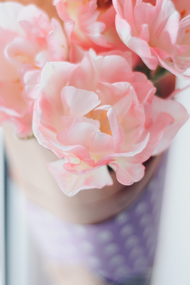 Нежные розовые цветы тюльпаны 