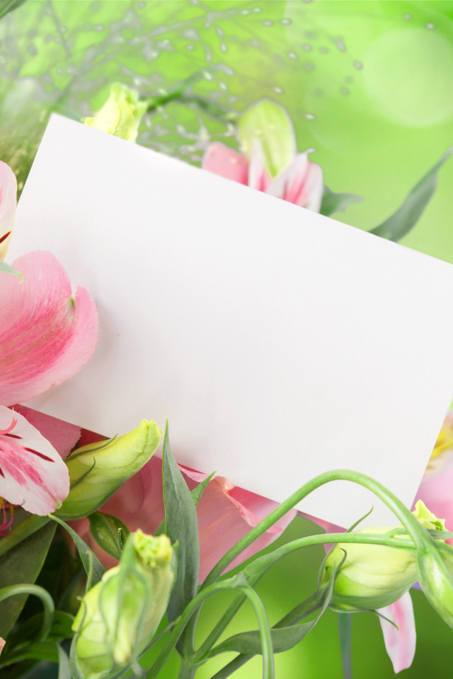 Цветы альстрёмерия и эустома, шаблон для открытки