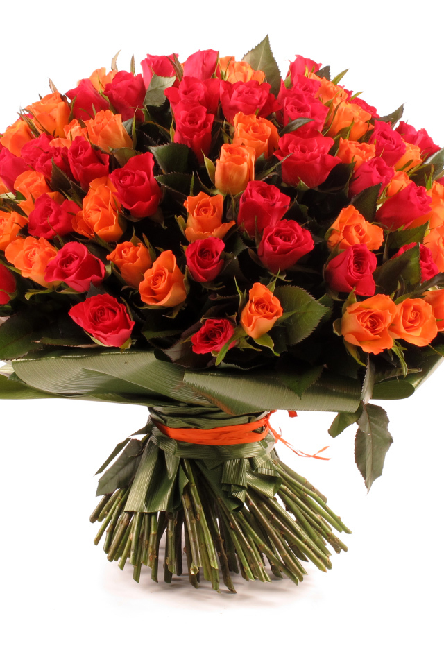 Большой букет оранжевых и розовых роз на белом фоне