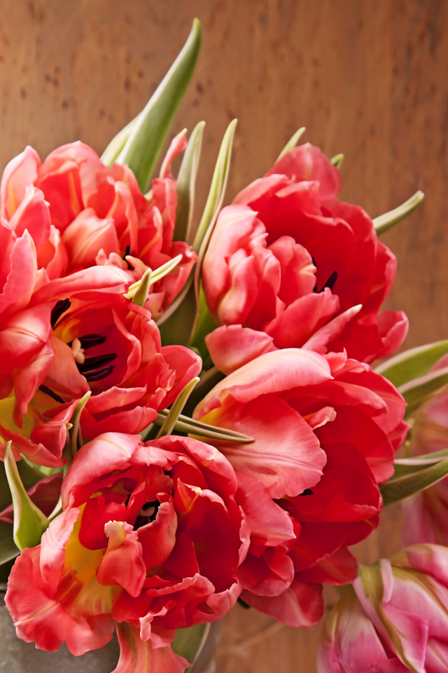 Розовые тюльпаны крупным планом в вазе