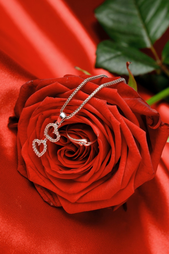 Красная роза с серебряным кулоном с сердечками