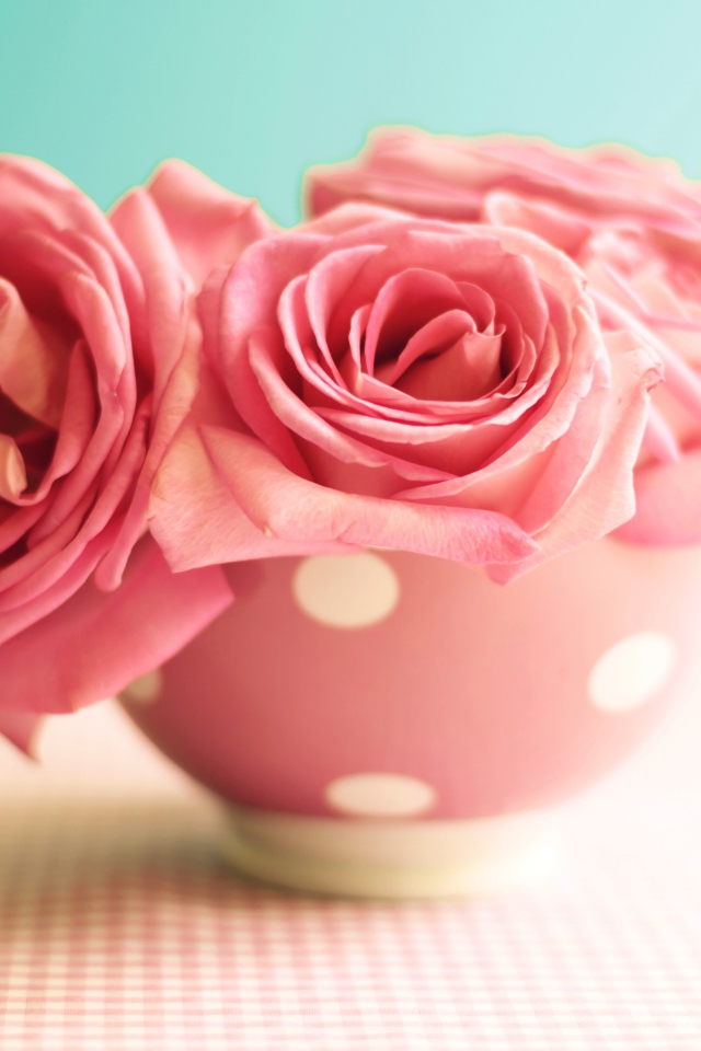 Три розовые розы в вазе на голубом фоне