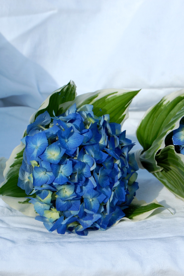 Два букета цветов гортензии