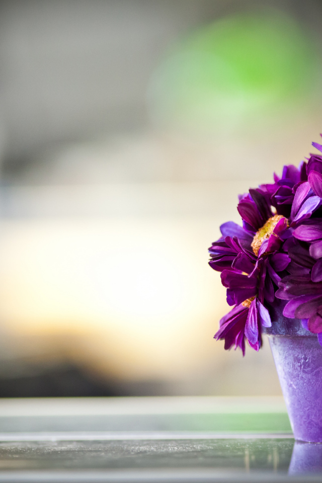 Фиолетовые цветы в горшке