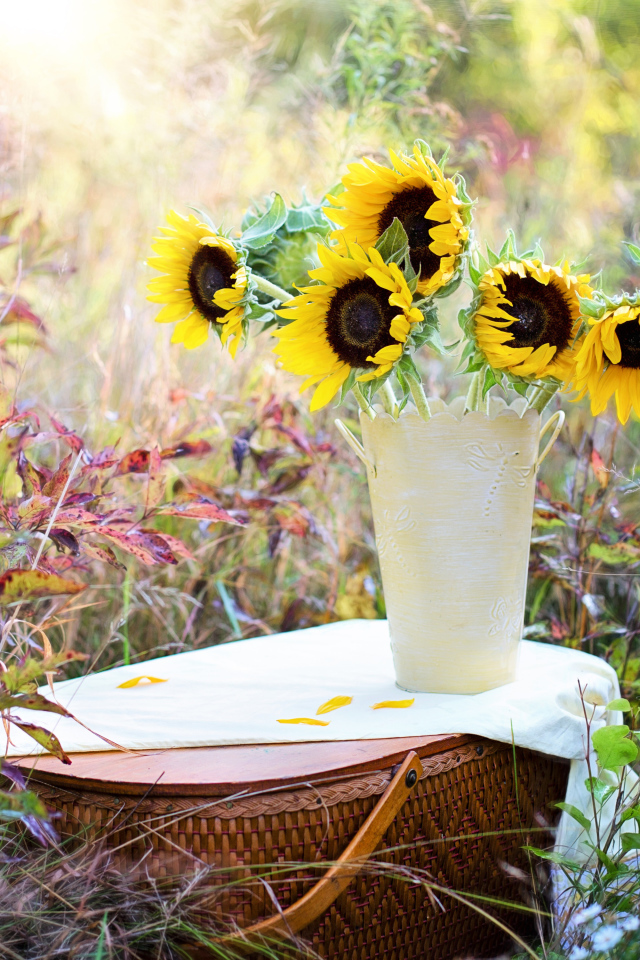 Желтые цветы подсолнухи в вазе стоят на корзине