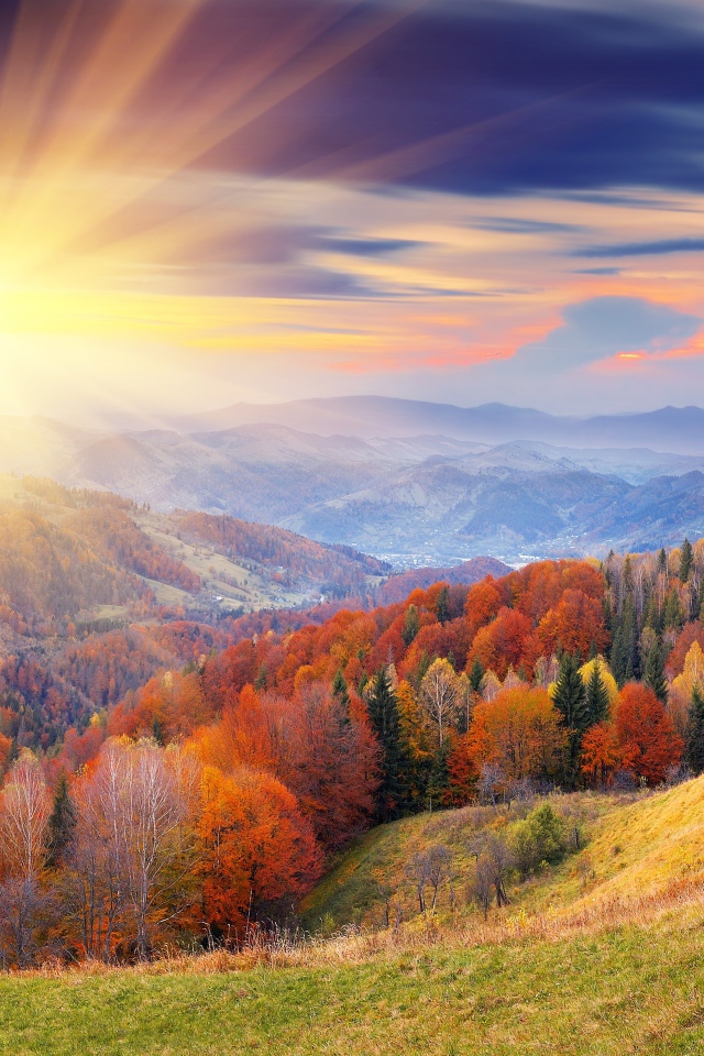 Осенний лес в лучах яркого солнца на рассвете на фоне гор