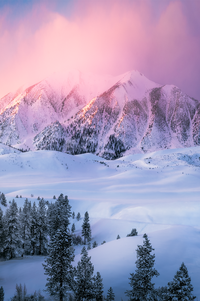 Заснеженные горы в сиреневом тумане 