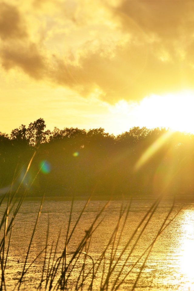 Восход солнца над лесным озером 
