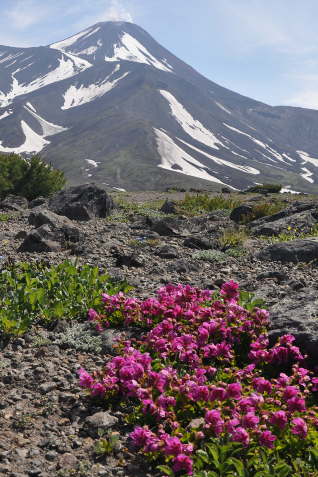 Вершина Авачинского вулкана, Камчатка. Россия 