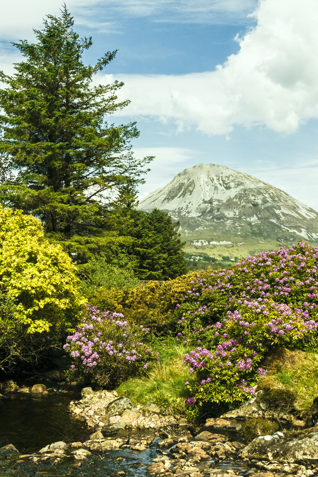 Красивая цветущая природа и ручей на фоне горы 