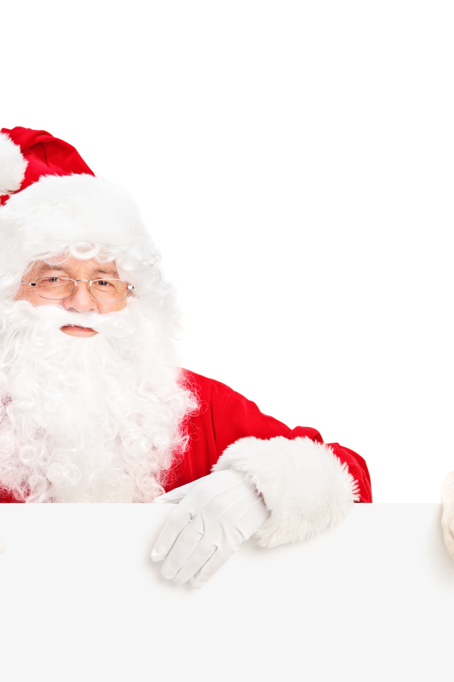 Дед Мороз с собакой породы золотистый ретривер на Новый год 2018