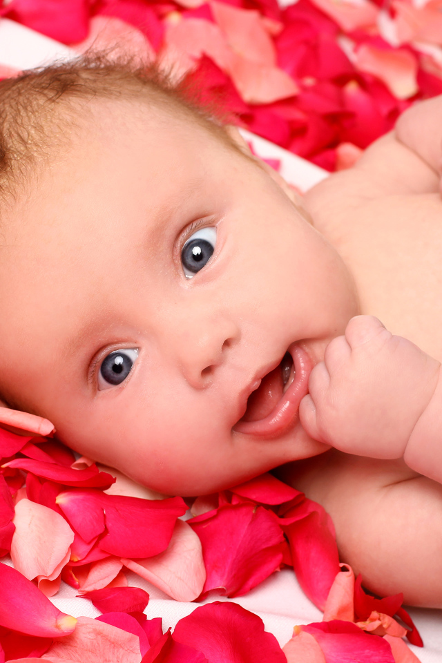 Грудной ребенок лежит на лепестках красной розы