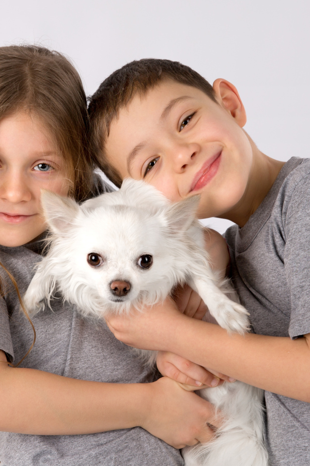 Мальчик и девочка держат в руках белого чихуахуа