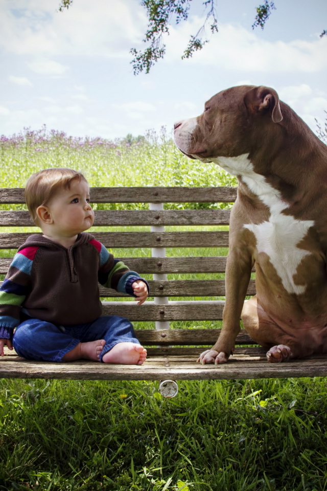 Маленький мальчик сидит с большой собакой на скамейке