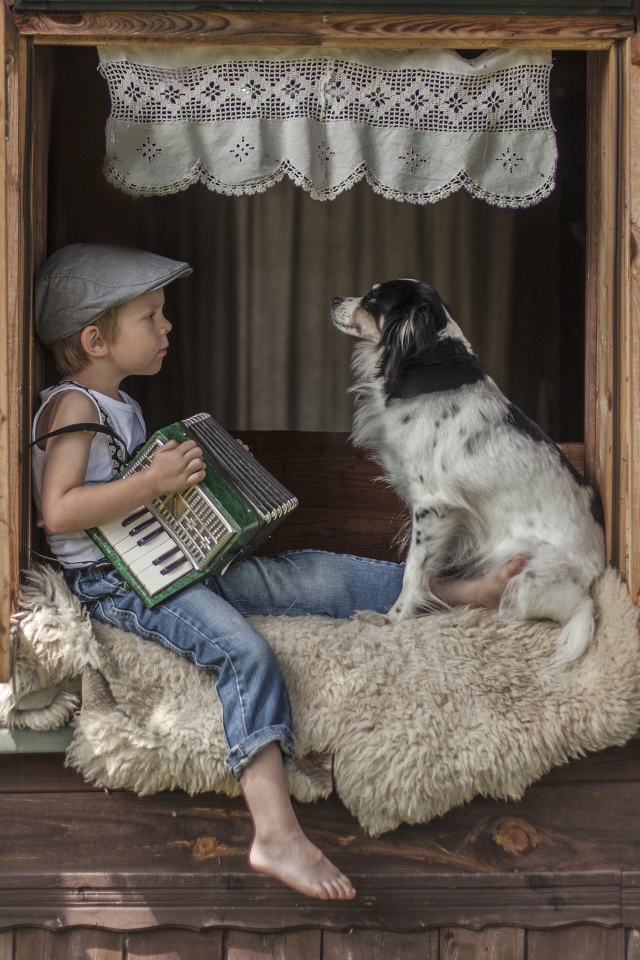 Маленький мальчик с гармошкой сидит на подоконнике с собакой