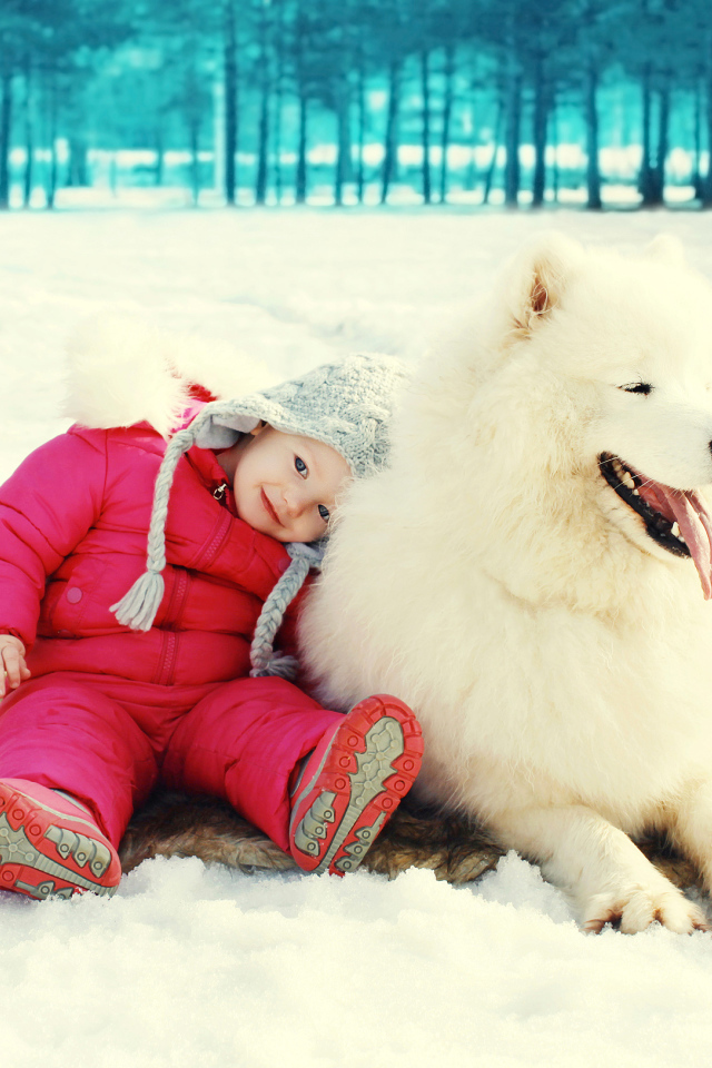 Маленькая девочка сидит на снегу с большой Самоедской собакой