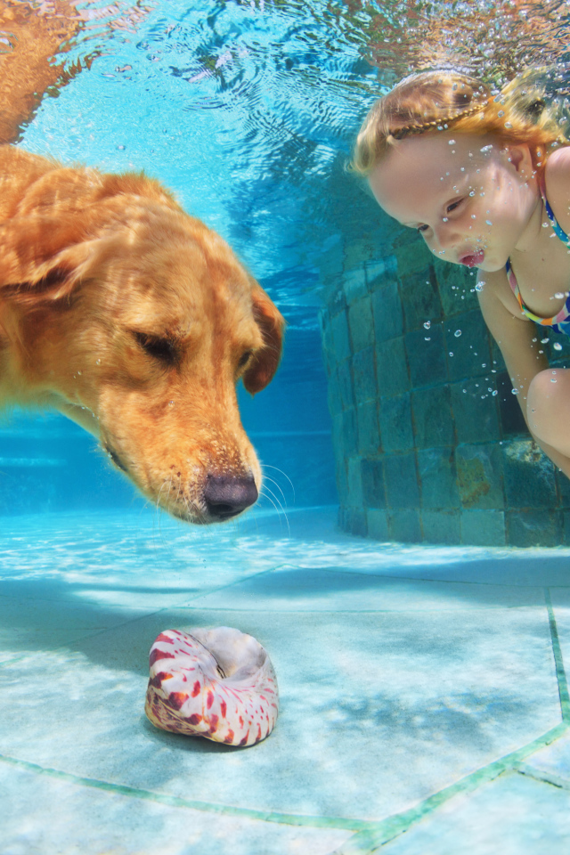 Маленькая девочка плавает в бассейне с большой рыжей собакой