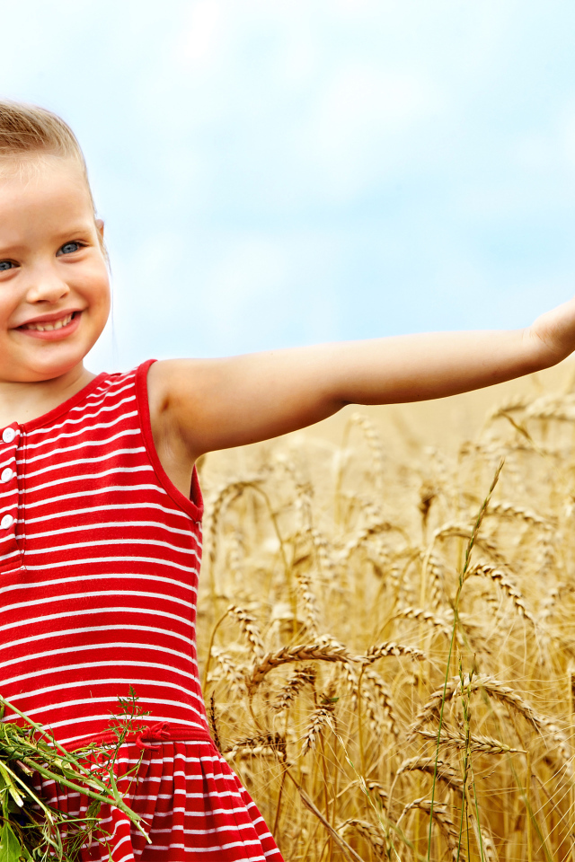 Маленькая девочка с букетом полевых цветов гуляет по полю пшеницы