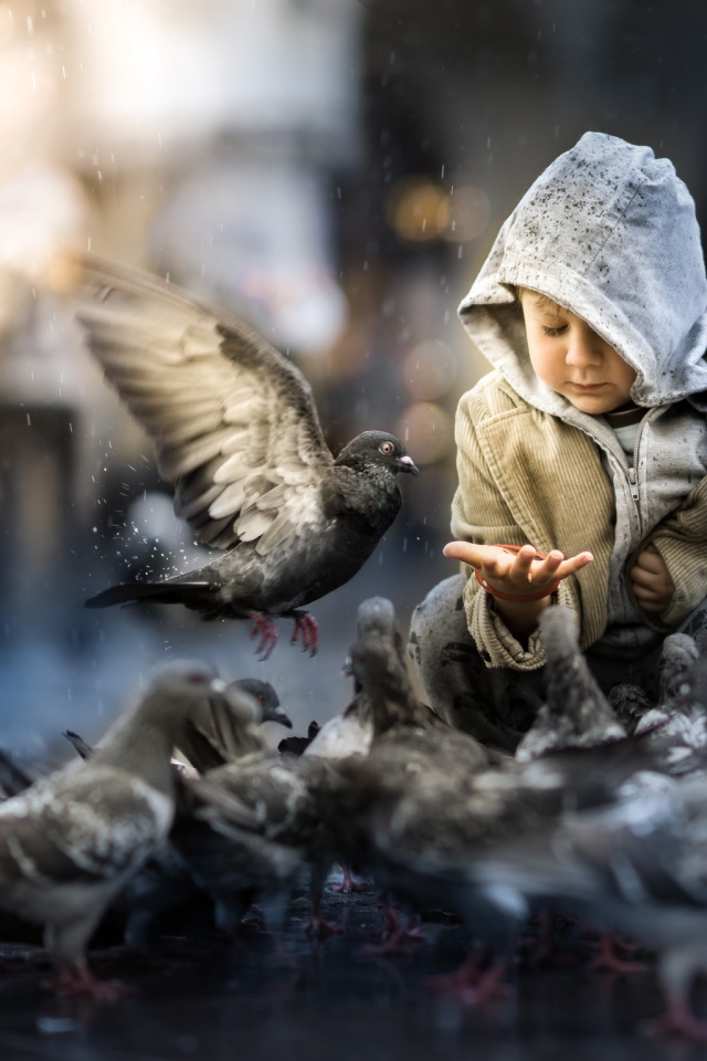 Маленький ребенок кормит голубей 