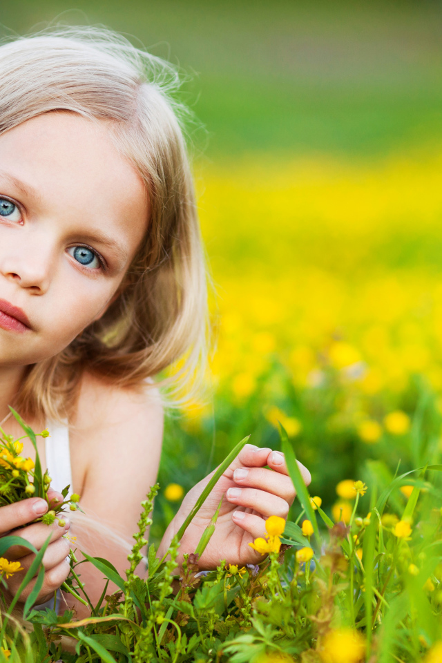 Красивая голубоглазая девочка лежит на желтых полевых цветах