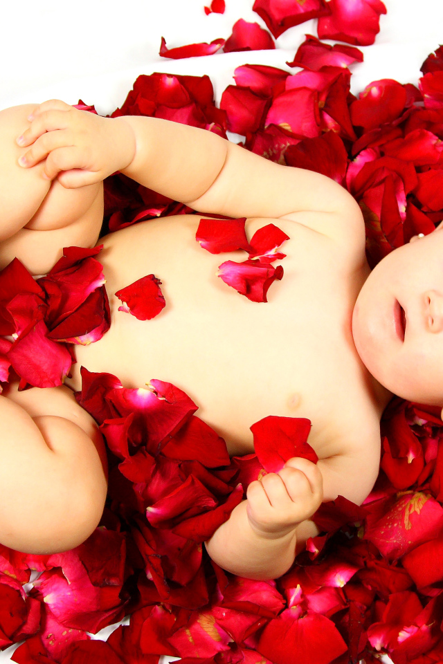 Милый грудной ребенок лежит на лепестках розы на белом фоне