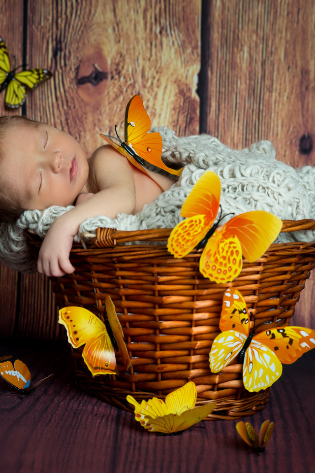 Милый спящий младенец в корзине с бабочками