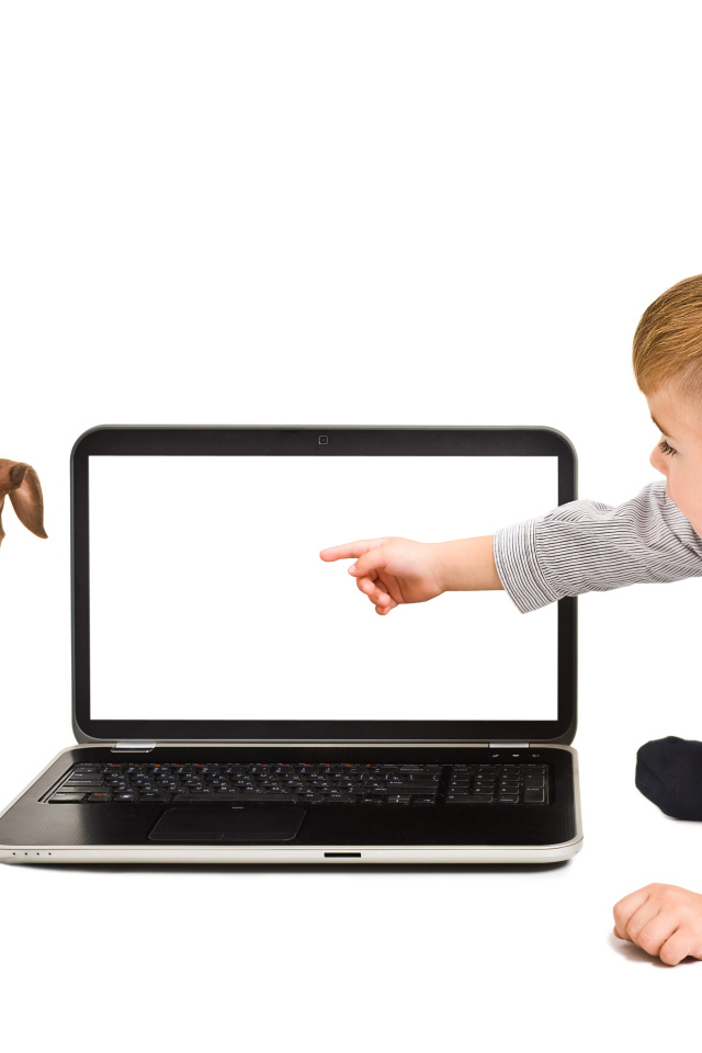 Маленький мальчик и щенок смотрят в экран ноутбука на белом фоне