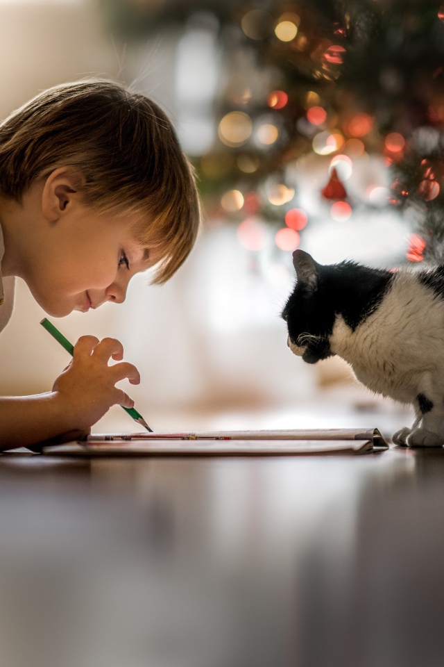 Маленький мальчик рисует с котом 