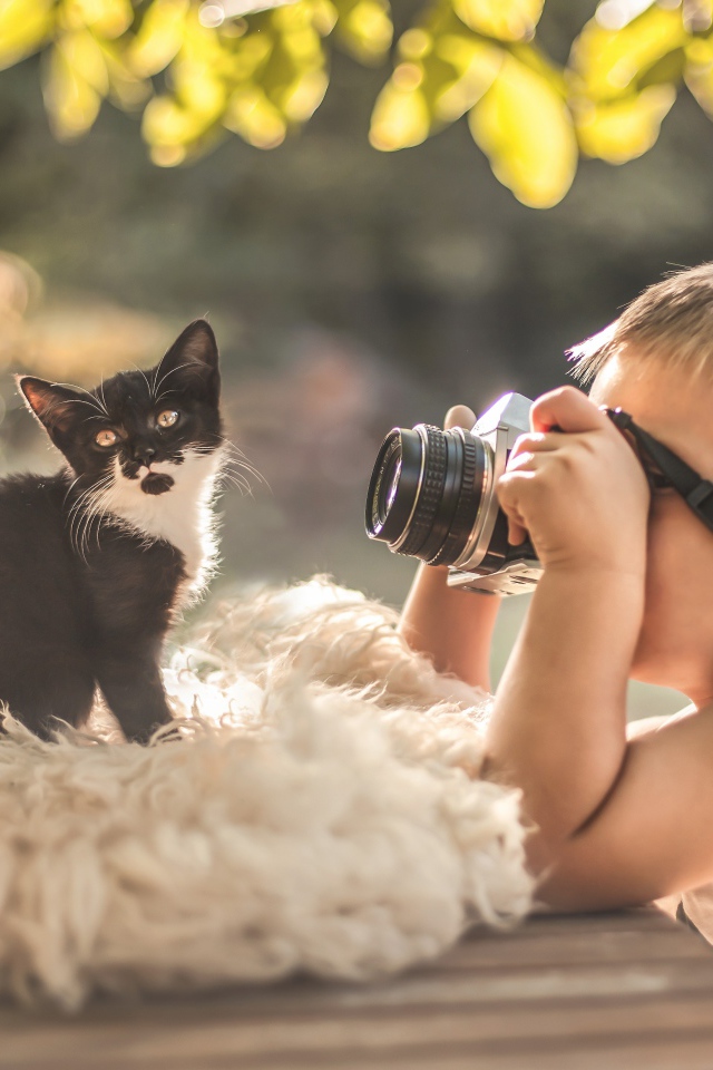 Маленький мальчик фотографирует котенка