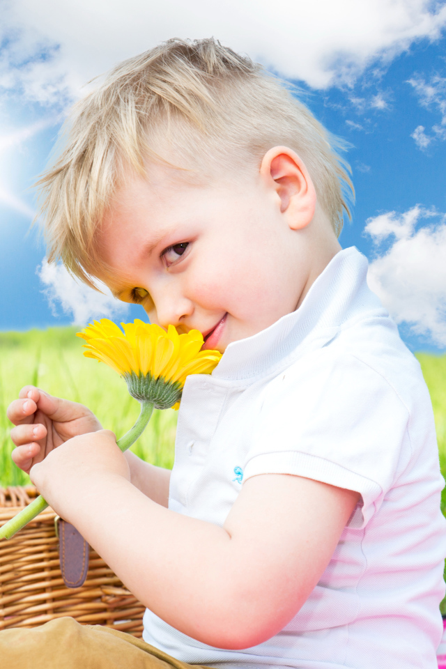 Маленький мальчик с цветком герберы на фоне голубого неба