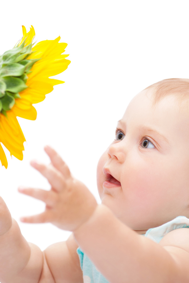 Little cute little girl with a sunflower on a white background