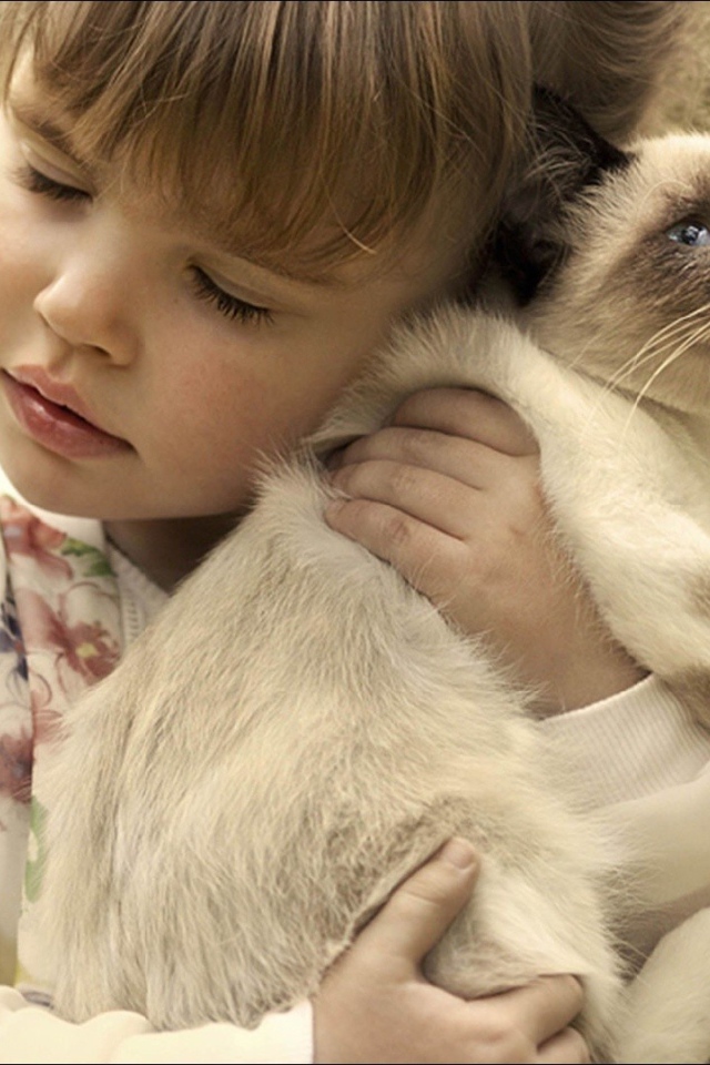 Маленькая девочка обнимает котенка 