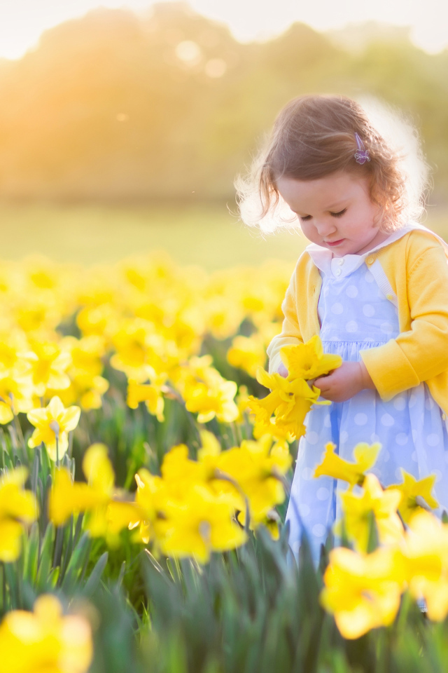 Маленькая девочка в поле желтых нарциссов 