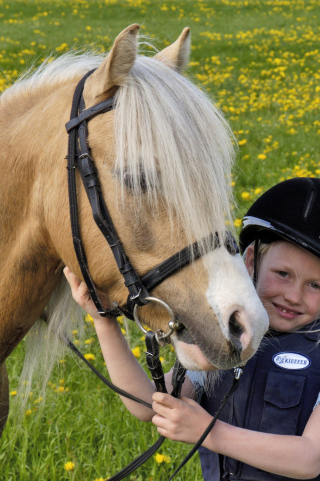 Маленькая девочка в шлеме с лошадью