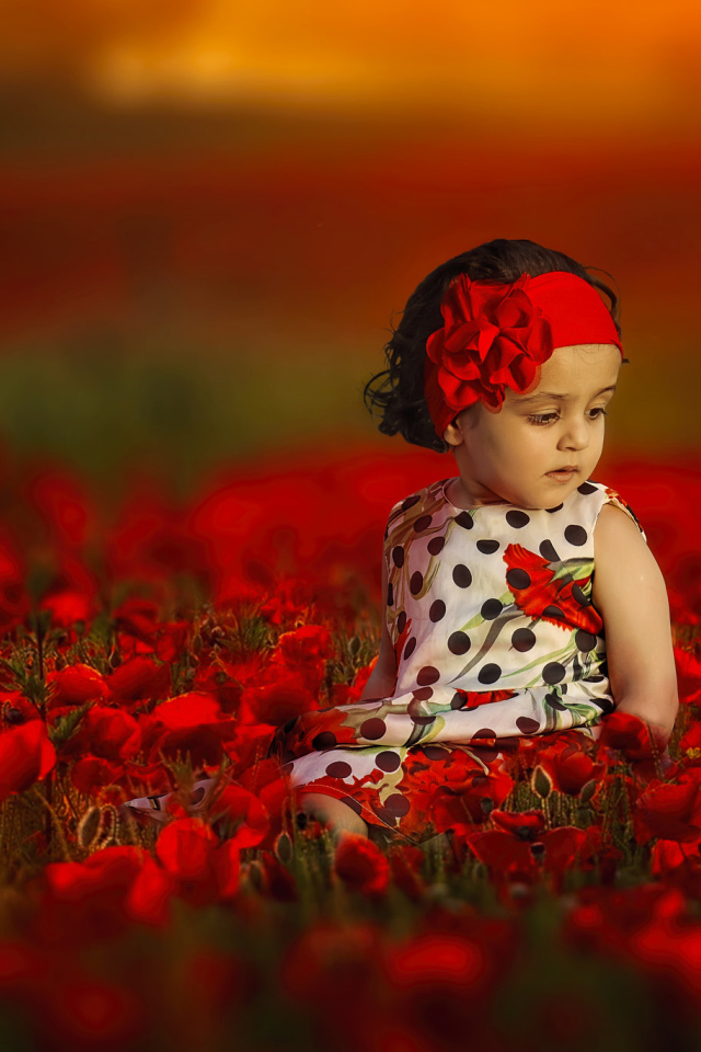 Маленькая девочка сидит в поле с красными маками