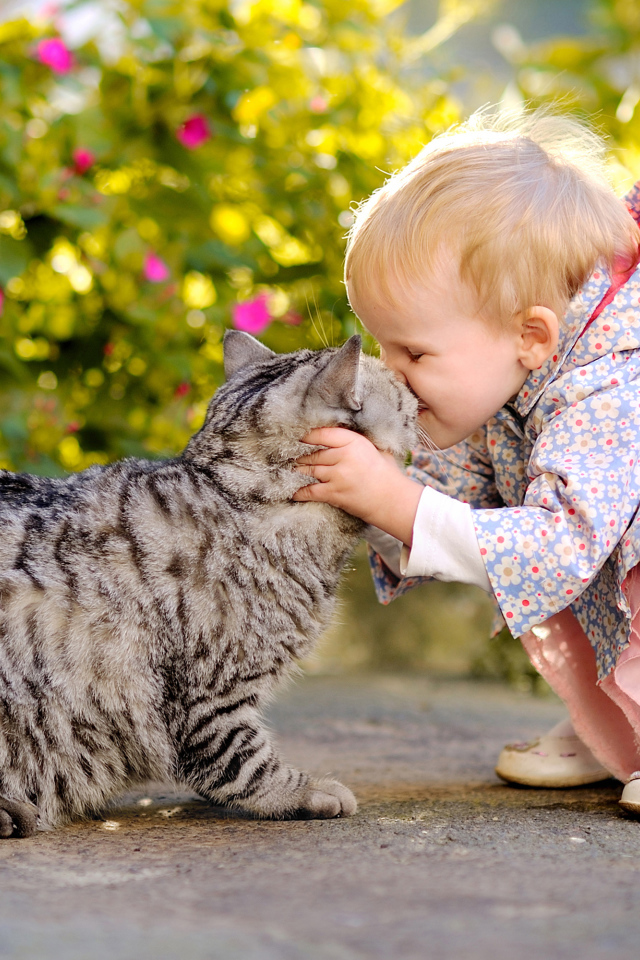 Маленькая девочка целует серого кота
