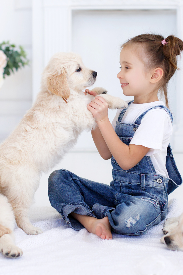 Маленькая девочка играет со щенками золотистого ретривера