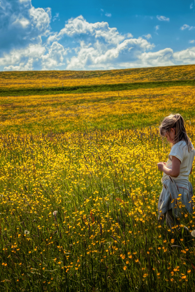Маленькая девочка гуляет по полю с желтыми цветами