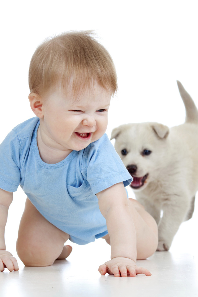 Маленький улыбающийся мальчик с щенком на белом фоне