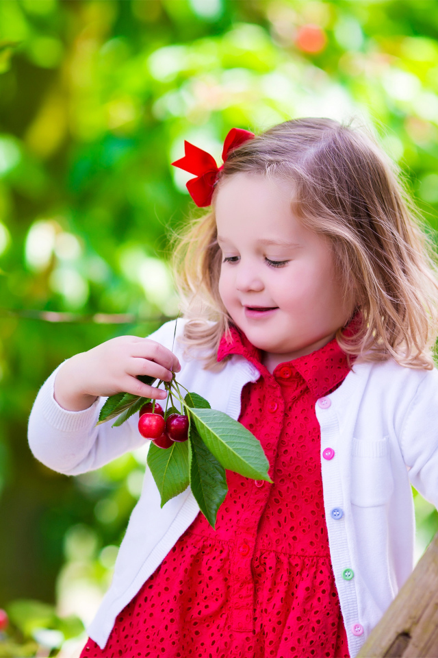 Маленькая улыбающаяся девочка рвет вишни с дерева